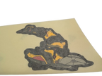 Fits Ski-Doo Ski-Doo Ski-Doo RH Bottom PAN Decal, OEM Part # 516003065