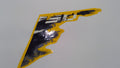 Can-Am LH REAR Fender Decal, OEM Part # 704901934