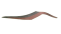 Can-Am REAR Panel DEC, OEM Part # 704904549