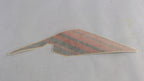Can-Am REAR Panel DEC, OEM Part # 704904637