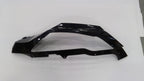 Can-Am LH Front Panel, Timeless B, OEM Part # 705007105