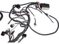 Can-Am Wiring Harness ASSY, OEM Part # 710004699