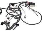 Can-Am Wiring Harness ASSY, OEM Part # 710004699