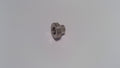 Can-Am Inner Bushing, OEM Part # 715900211