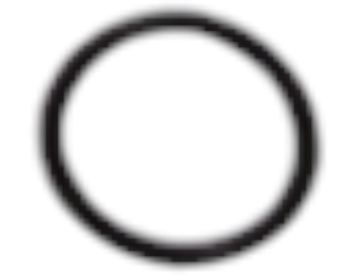 Fits BRP O-ring, OEM Part # 715900572