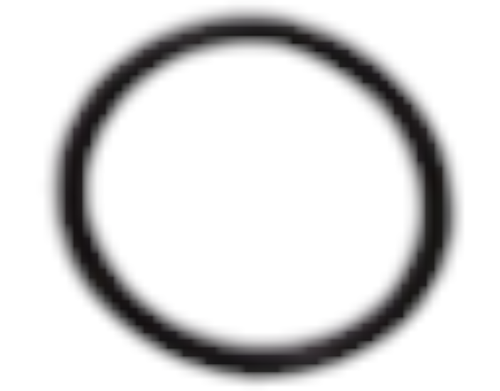 Fits BRP O-ring, OEM Part # 715900572