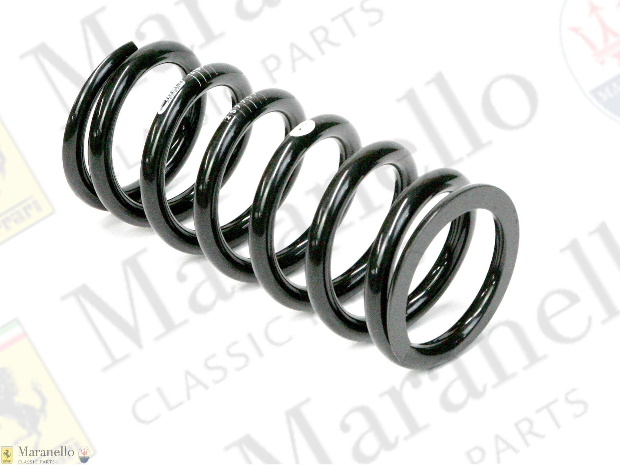 257757 - Rear Suspension Spring