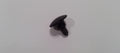 Honda New 2001-2005 Fits Honda Civic Hook, Floor, Part # 84604-S5P-A11