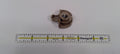 Honda New 1999-2004 Fits Honda Odyssey Hook Assy., Cargo Net *YR169L* (MILD BEIGE), Part # 84618-S0X-A00ZC