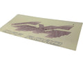 Ford New 1994-1997 Fits Ford F-150 / F-250 / F-350 Transfer Mod Indent, Part # F4TZ9925622AB