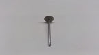 GM New 1993-1999 Fits Buick / Chevrolet / Oldsmobile Century / Regal / Skylark Intake Valve, Part # 10166341