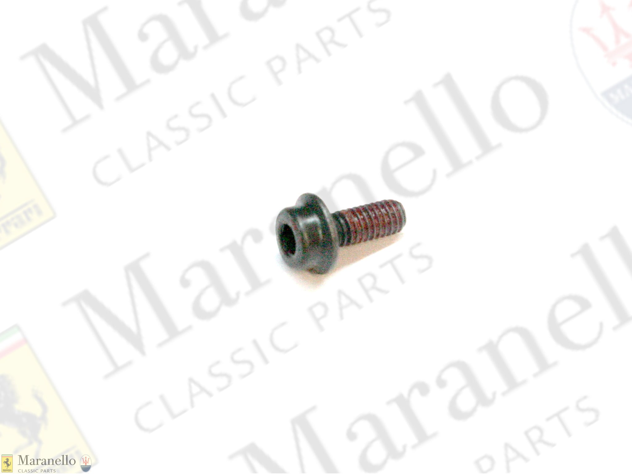 262413 - Screw