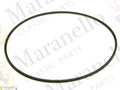 350280 - Polyflex Belt