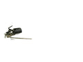40126500 - Wiper Assy LHD