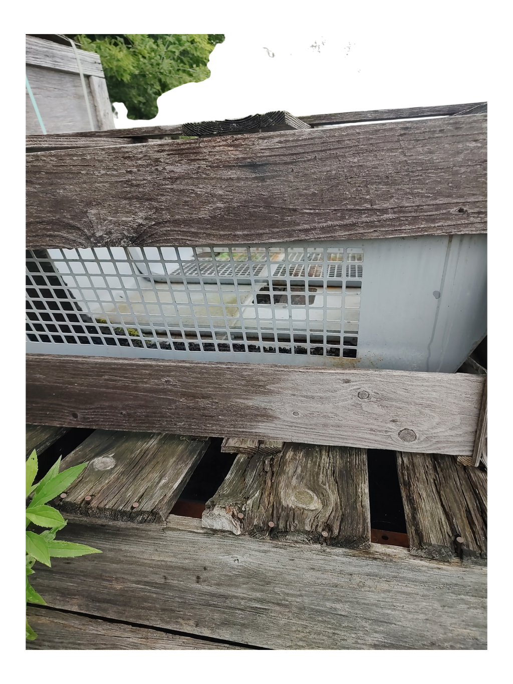 5002371 — COVER — image 5