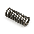 53684 - Selector Spring
