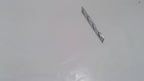 New Old Stock Shim Part # 4433953 For Caterpillar