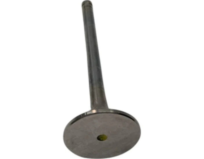 For AGCO Exhaust Valve Part # 72290242