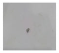 New Old Stock Plug Part # 7J1767 For Caterpillar