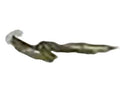 Ford New 1995-2003 Fits Ford Windstar Hinge Assy - Hood Base No. 16797 Position Driver Side, Part # F58Z16797A