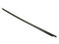 61219900 - RH Door Moulding