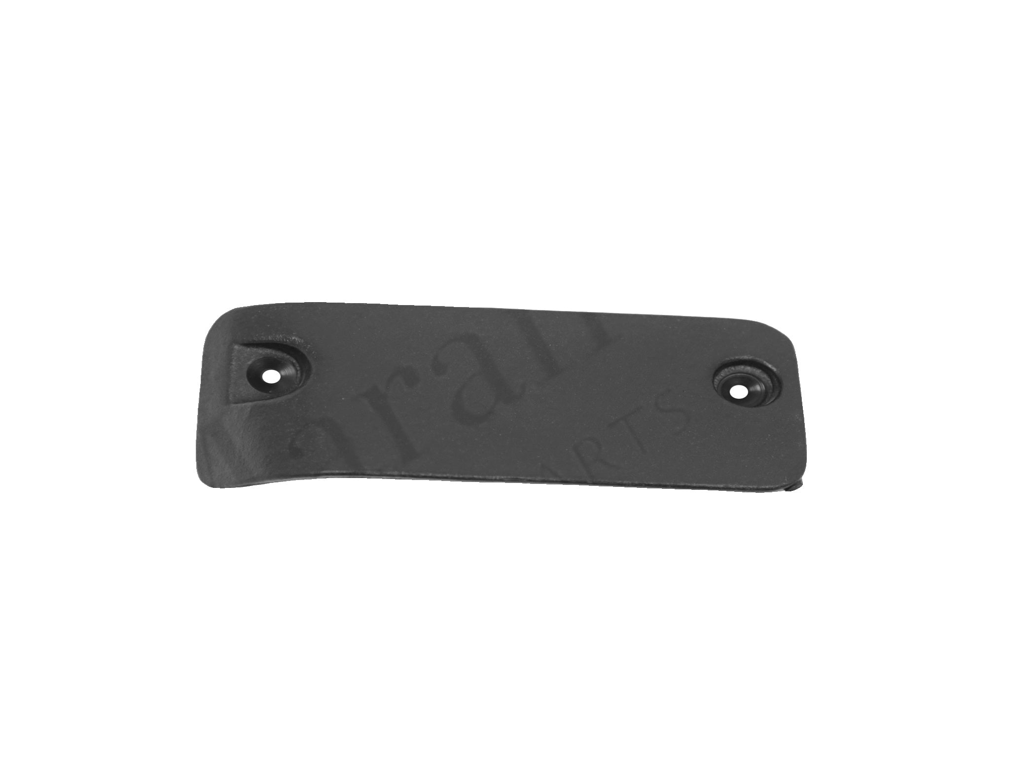 62329700 - LH Moulding