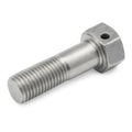 69485 - Front Caliper Frame Bolt