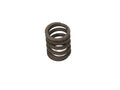 9160343 - Valve Spring