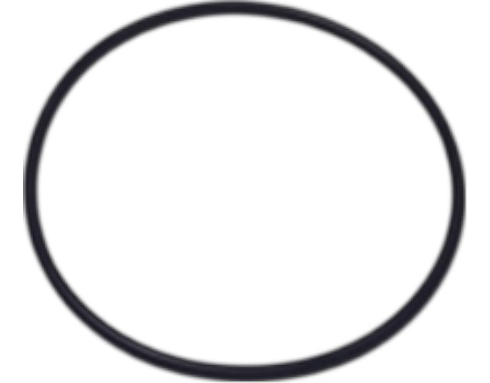 9812151280 — O-RING — image 2