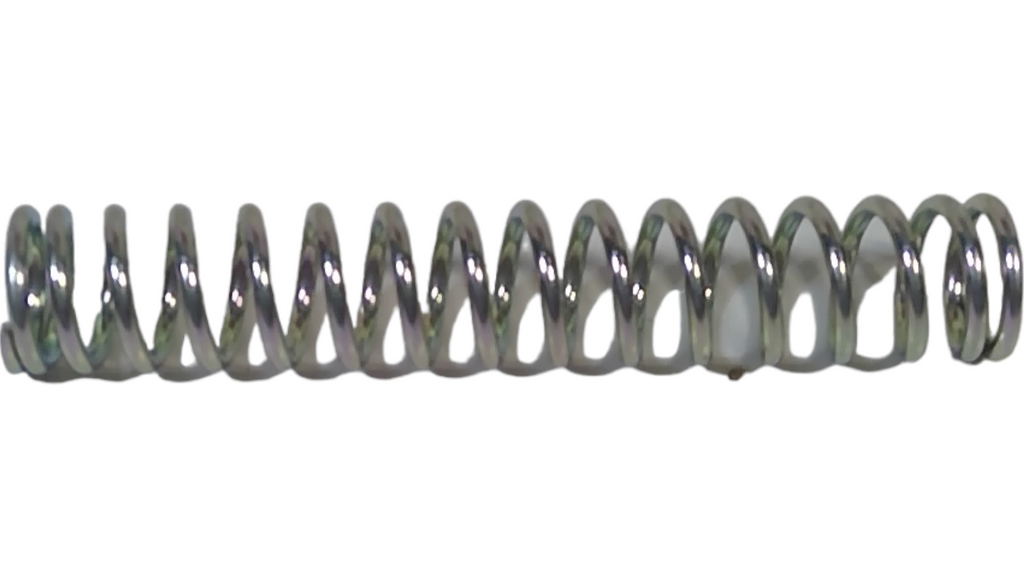 AM876913 — SPRING — image 2
