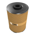 AR44077: Fits John Deere AR44077 Fuel Filter Element – Genuine OEM