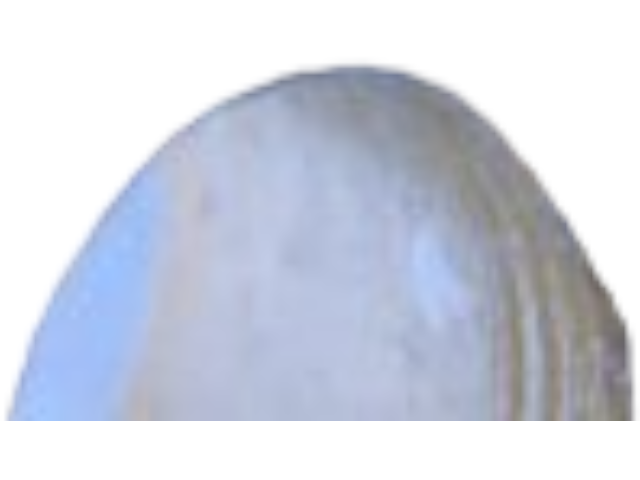 AT102171 — WHEEL — image 7