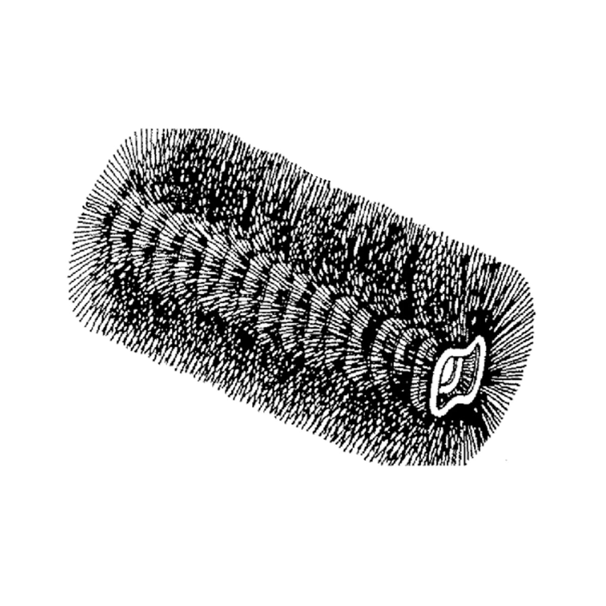 AUC21402: Fits John Deere AUC21402 Rotary Broom Brush – Genuine OEM