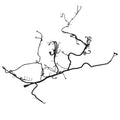 AXE50295: Fits John Deere AXE50295 Single Engine Wiring Harness, Tier 2, 13.5 Liter – Genuine OEM