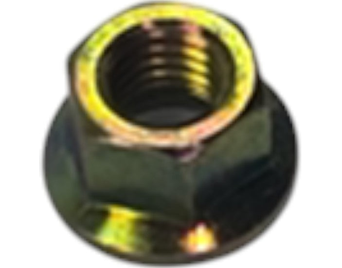 CH15162: CH15162 — NUT