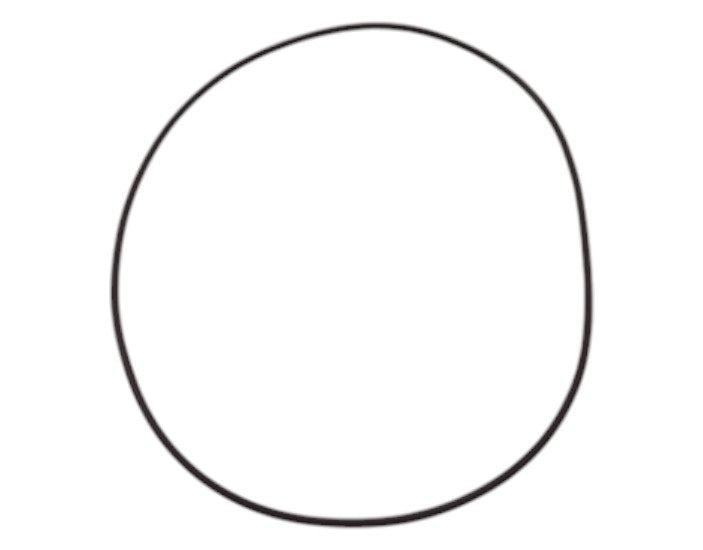F434489: F434489 — O-RING