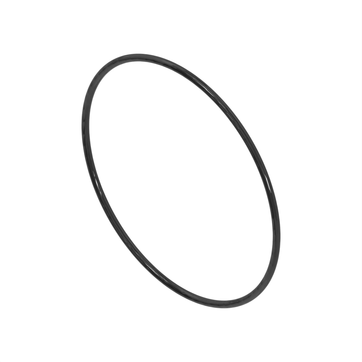H125838: H125838: O-Ring