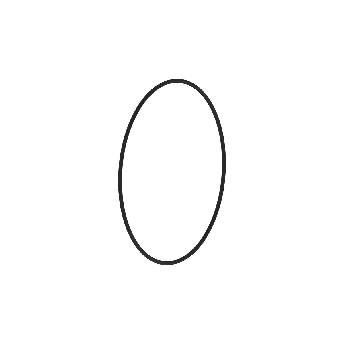 H125839: H125839: O-Ring