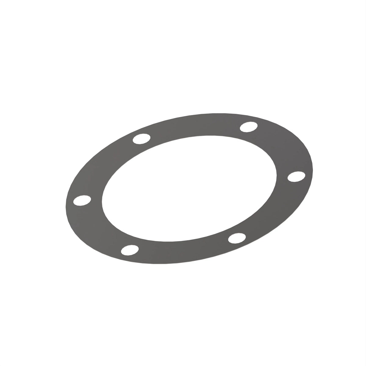 H126575: H126575: Circular Spaced Holes Shim