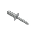 H85233: H85233: Rivet