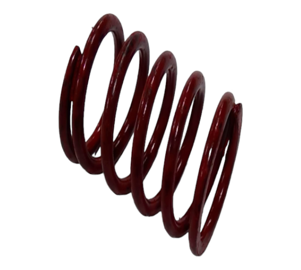 LG691597: LG691597 — SPRING