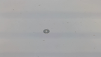 M151813 — WASHER — image 2