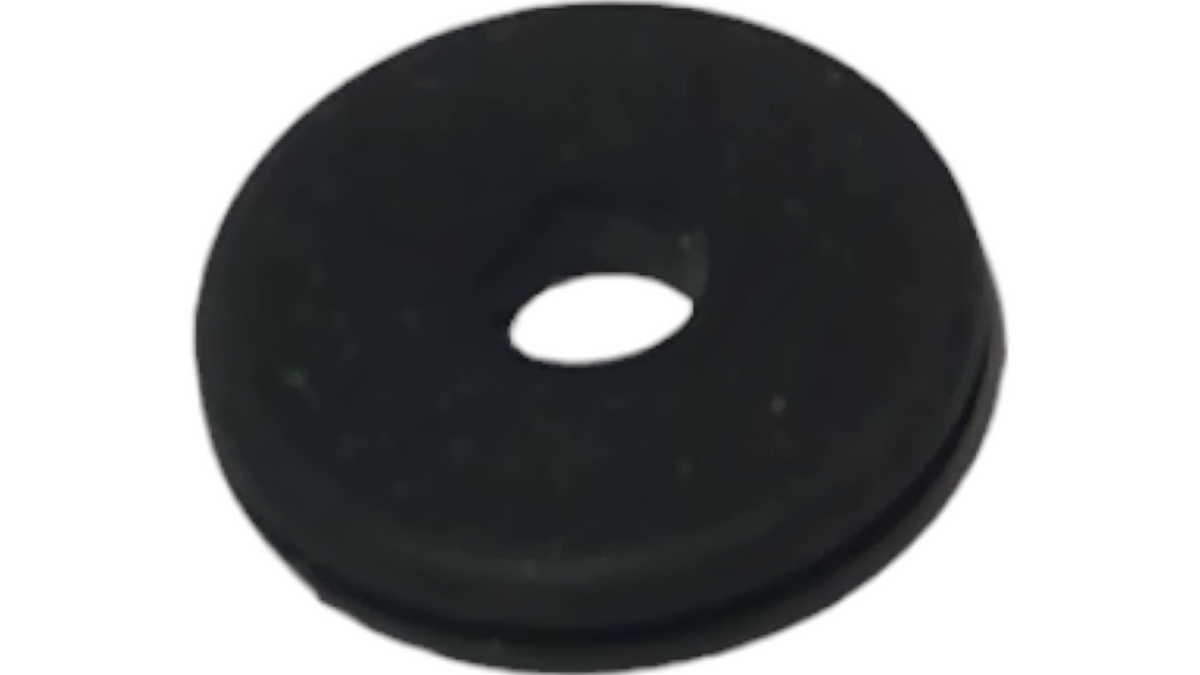 MG274569: MG274569 — GROMMET