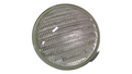 MG686562: MG686562 — LAMP