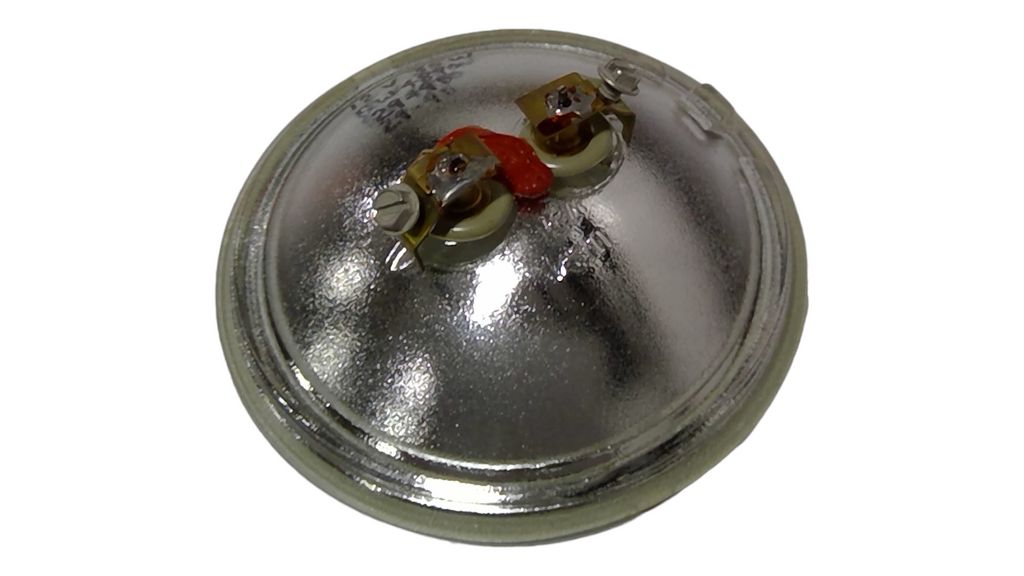 MG686562 — LAMP — image 2