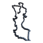 MG766411: MG766411 — ROLLER CHAIN
