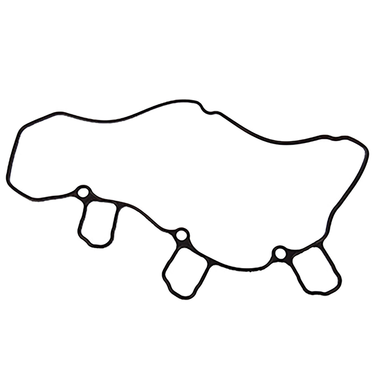 MIU800300: Fits John Deere MIU800300 Rocker Arm Cover Gasket – Genuine OEM