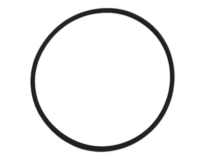N206961: N206961 — O-RING