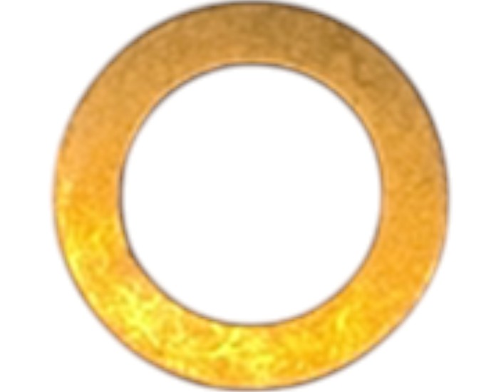 R68493: R68493 — SHIM