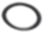 R77392 — SHIM — image 2